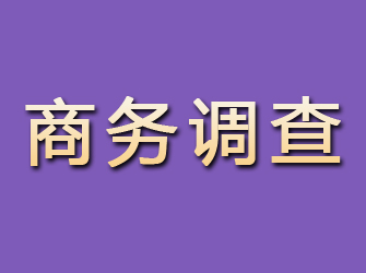 藤县商务调查